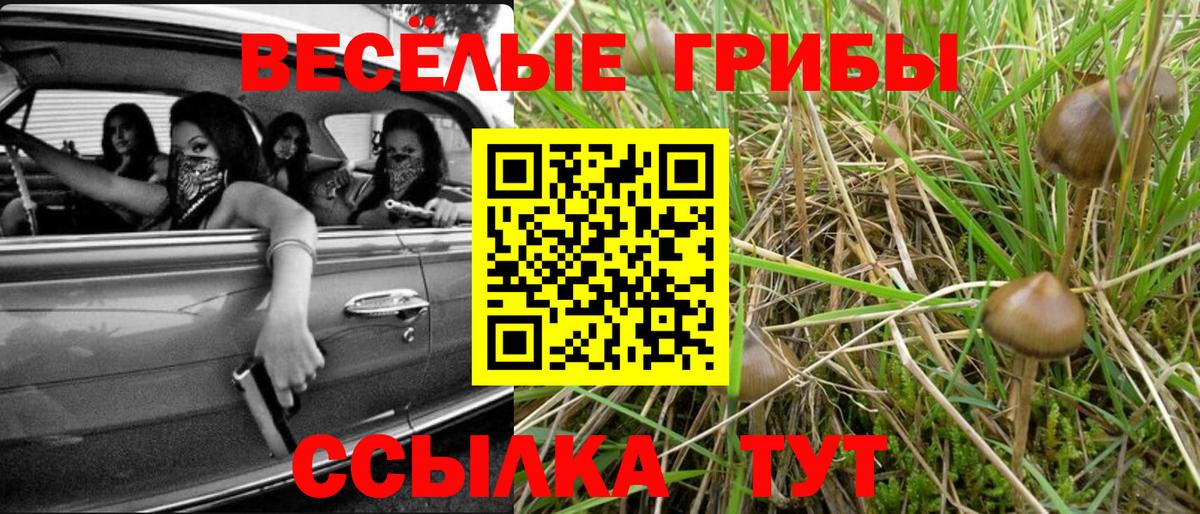 Псилоцибиновые грибы мицелий  дарнет шоп  Крымск  Вход с VPN  Псилоцибиновые грибы Cubensis 